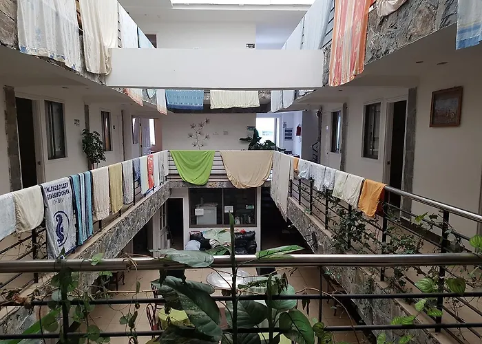 Hostal Colo-ColoHostal